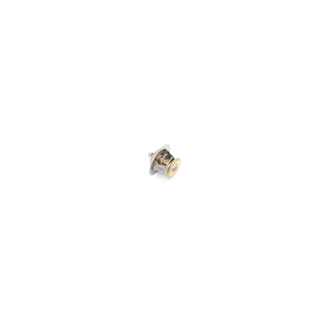 Bobcat 7258868 Thermostat