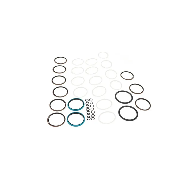 Bobcat 7300855 Swivel Seal Kit
