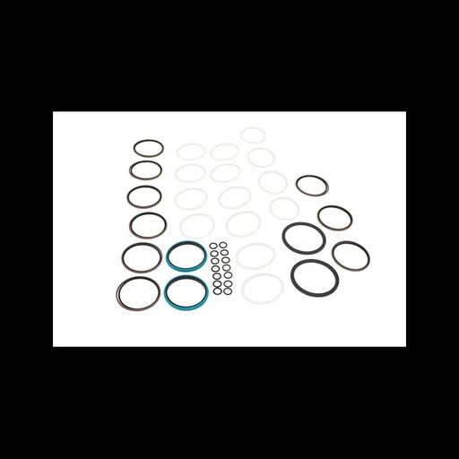 Swivel Seal Kit, 7300855