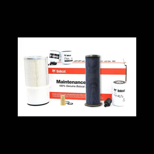 1000/2000 Hour Maintenance Kit, Standard Flow, 7343860