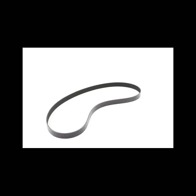 Drive Belt, 7363920