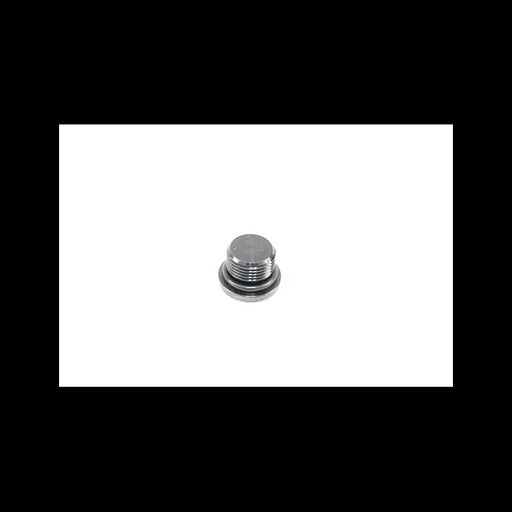 Cavity Plug, 7373444