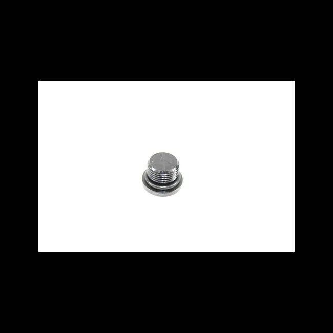 Cavity Plug, 7373444