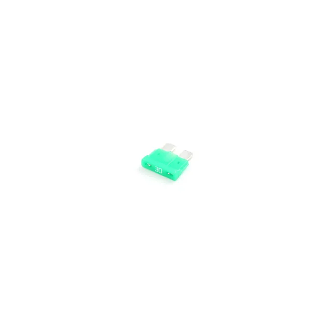 Bobcat 7383118 30 Amp Fuse