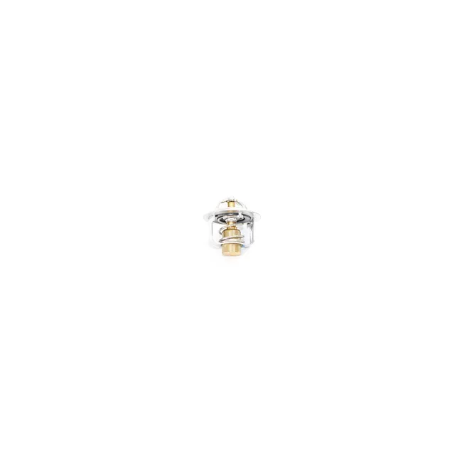 Bobcat 7384373 Thermostat