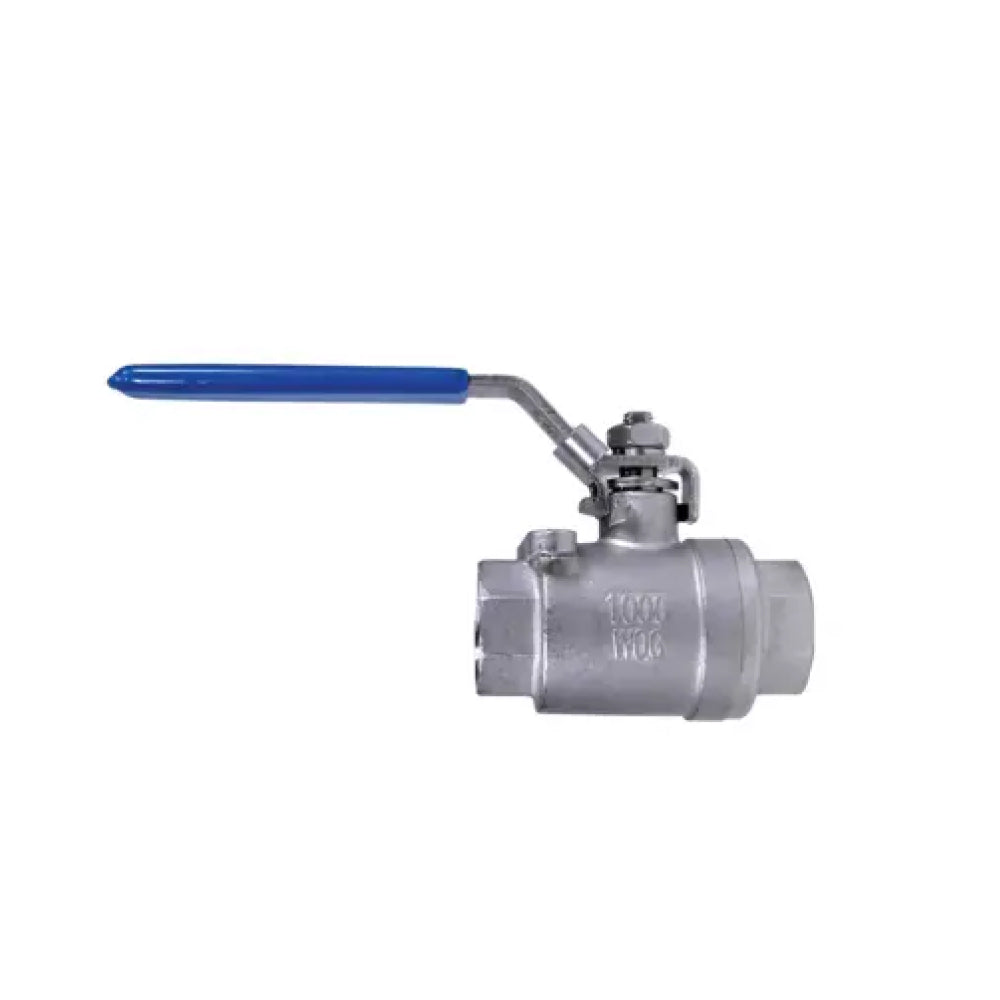 BE 91.200.001 Ball Valve, SS 1/4"FNPT