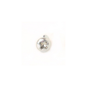 Echo 9154503010 SCREW