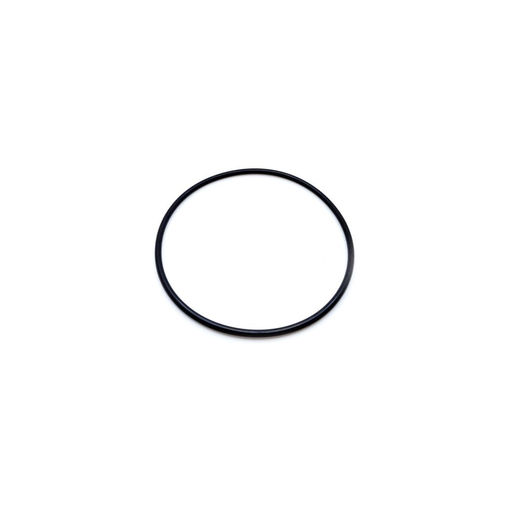 Echo 9250109500 O-RING