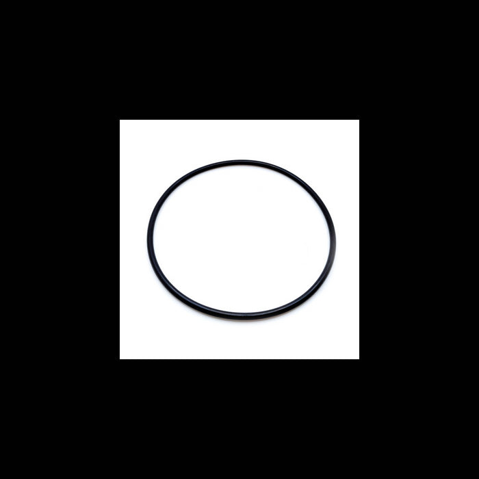 Echo 9250109500 O-RING