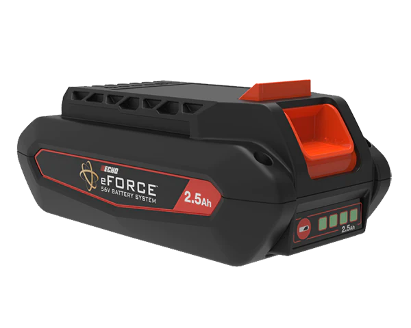 Echo ECQW-LBP-56V125A 56V Li-Ion Battery 2.5 AH