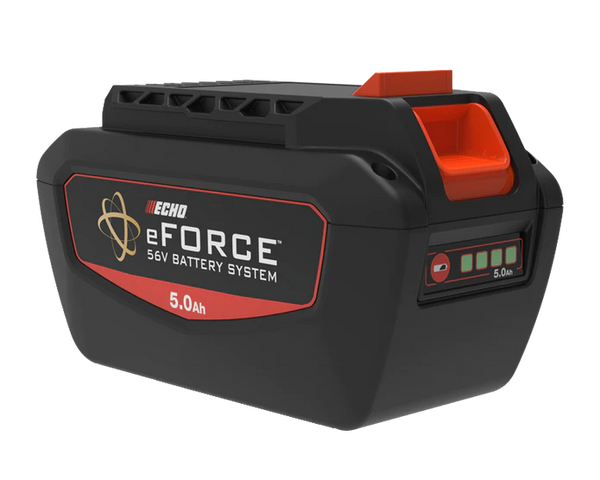 Echo ECQW-LBP-56V250A 56V Li-Ion Battery 5.0 AH