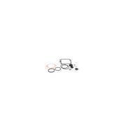 Scag  HG2513018  -  OVERHAUL SEAL KIT