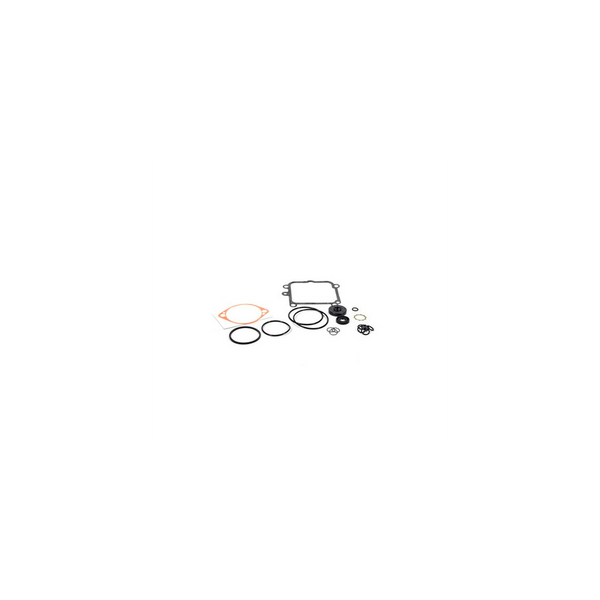 Scag  HG2513018  -  OVERHAUL SEAL KIT