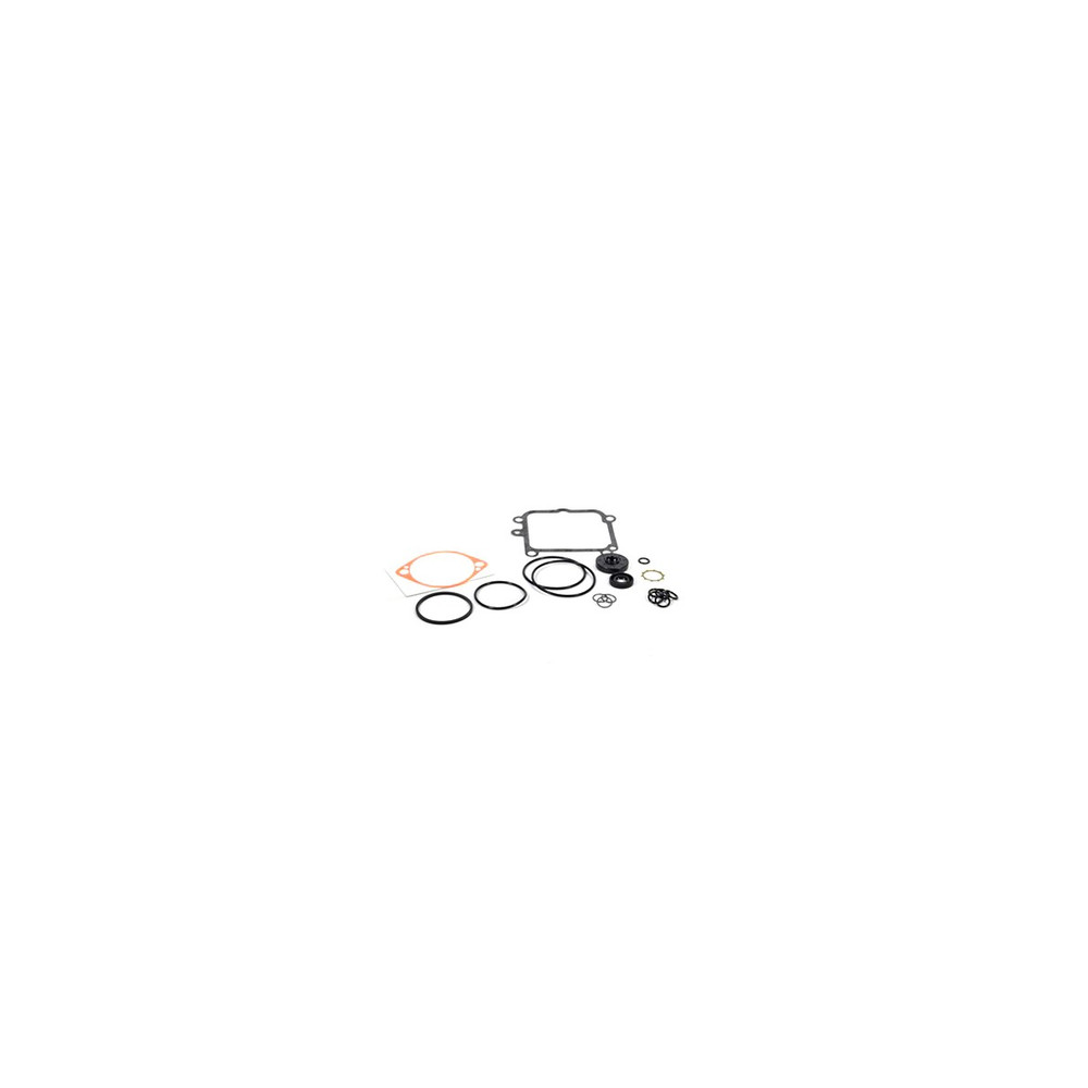 Scag  HG2513018  -  OVERHAUL SEAL KIT