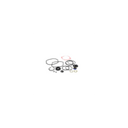 Scag  HG70525  -  OVERHAUL SEAL KIT