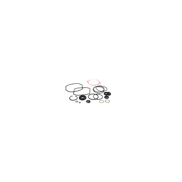 Scag  HG70525  -  OVERHAUL SEAL KIT