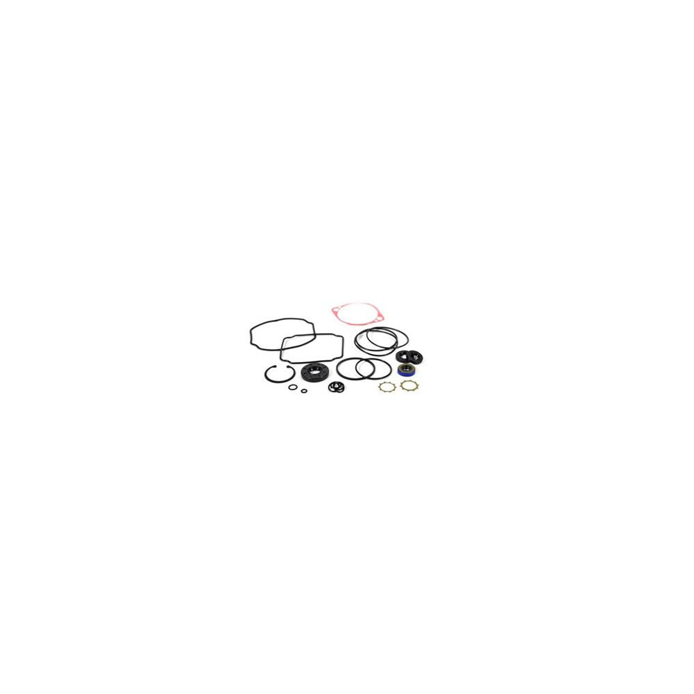 Scag  HG70525  -  OVERHAUL SEAL KIT