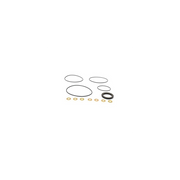 Scag  HG706022 Scag HGM18E WHEEL MOTOR SEAL KIT - NO LONGER AVAILABLE