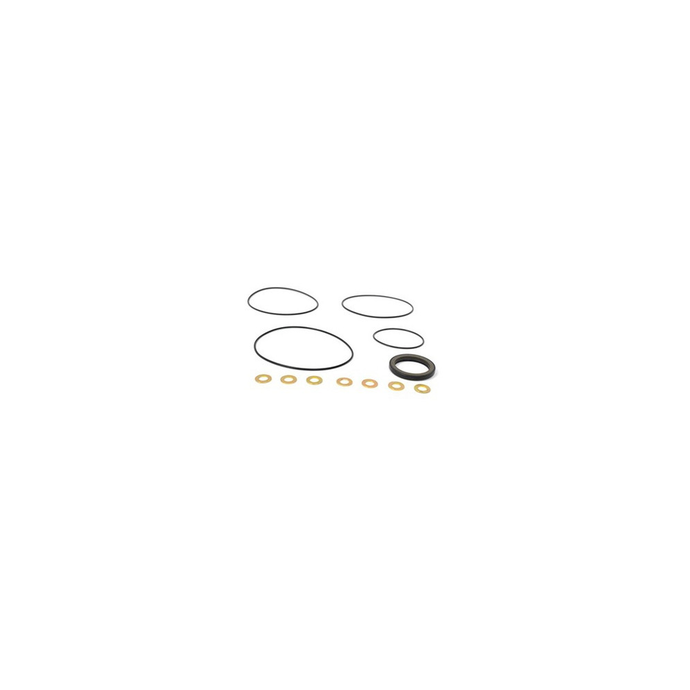 Scag  HG706022 Scag HGM18E WHEEL MOTOR SEAL KIT - NO LONGER AVAILABLE