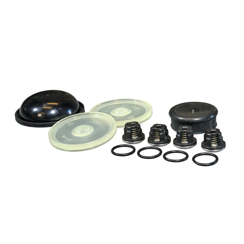 Hypro D30 Diaphragm & Valve Kit