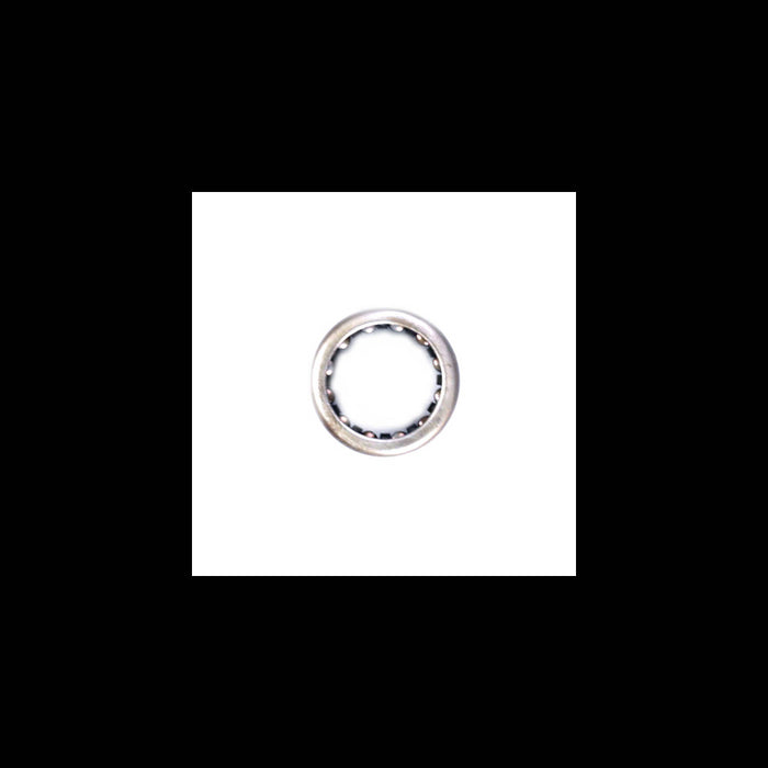 Echo V553000060 BEARING, NEEDLE