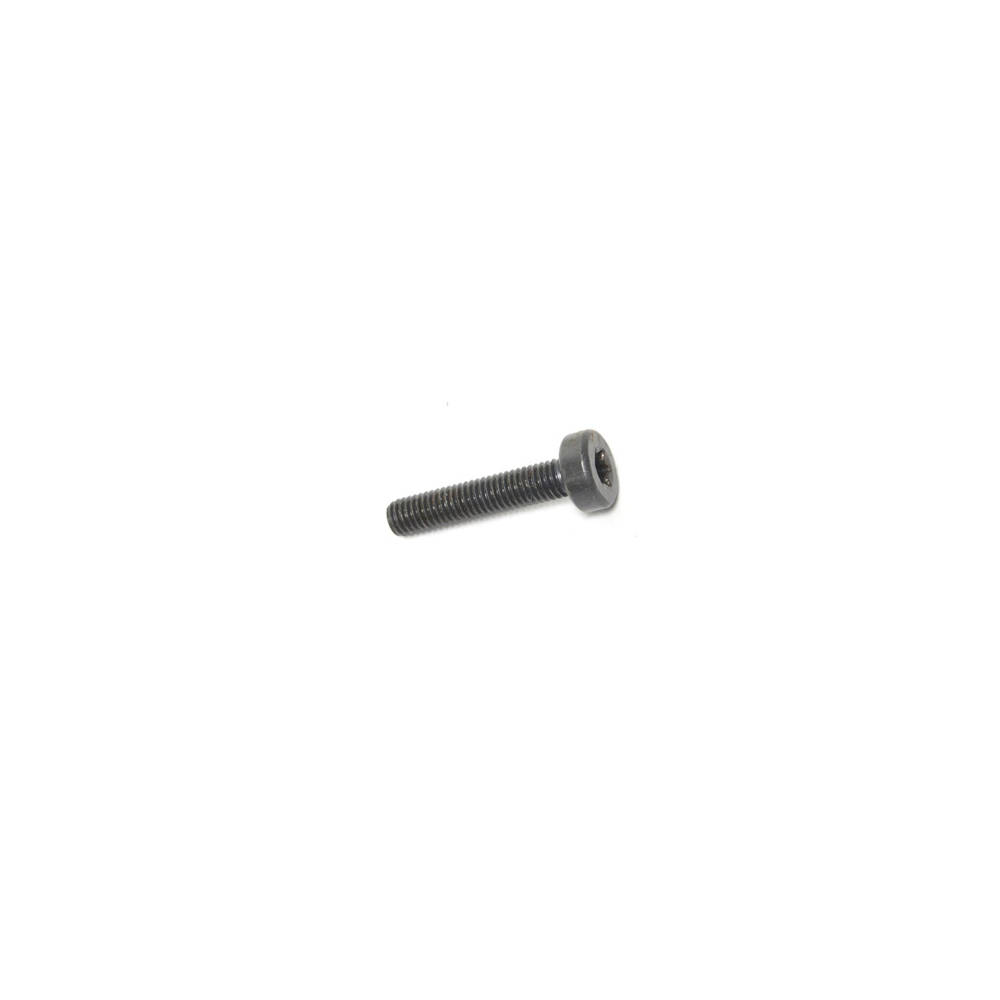 Echo V805000220 SCREW, 5X25