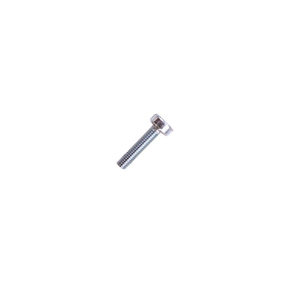 Echo V806000020 TORX, SCREW 6X25