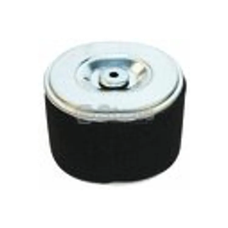 Stens 100-818 GX240 Air Filter Combo