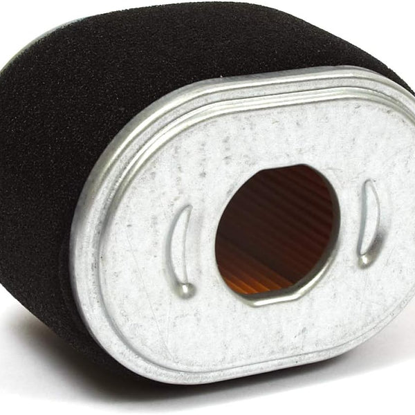 BRIGGS  590601  FILTER-AIR CLEANER CA