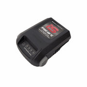 BRIGGS  597187  BATTERY