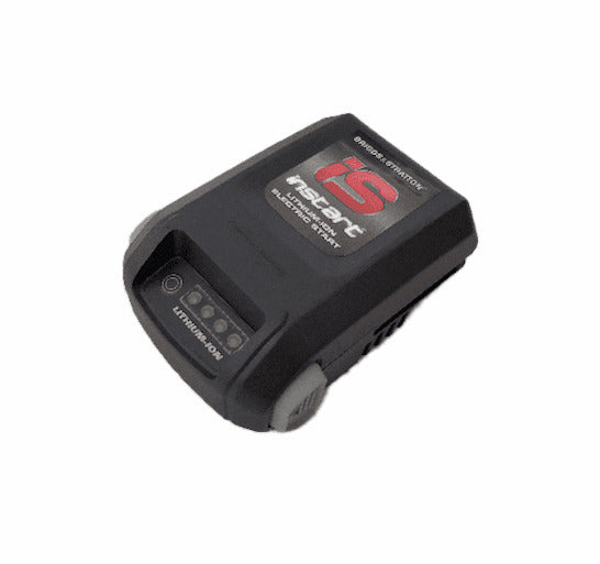 BRIGGS  597187  BATTERY