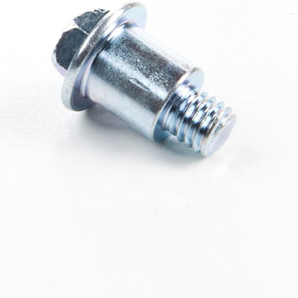 BRIGGS  691696  SCREW