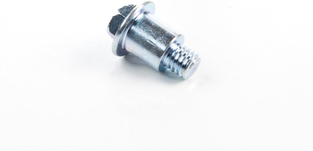 BRIGGS  691696  SCREW