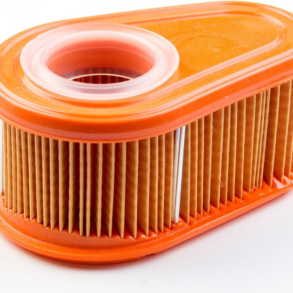 BRIGGS  792038  FILTER-AIR CLEANER CA