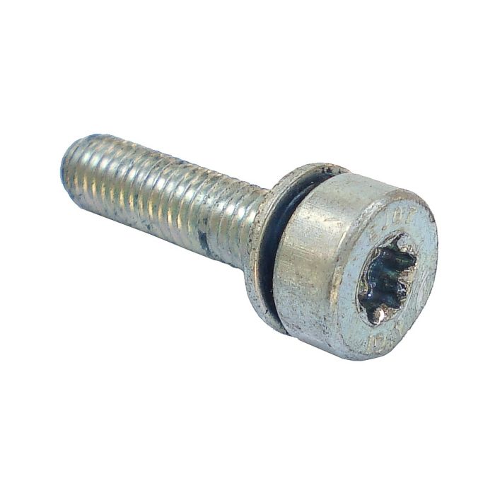 Stihl 90223411019 SPLINE SCREW M5x20