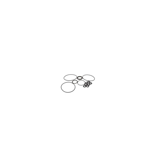 Scag  HG70602-3  -  OVERHAUL SEAL KIT